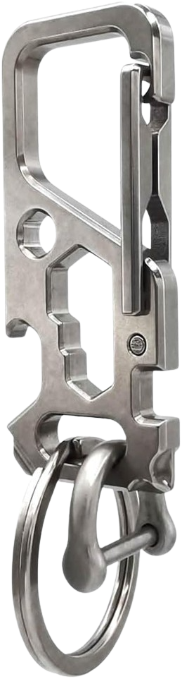 ResafeLy Carabiner Key Chain